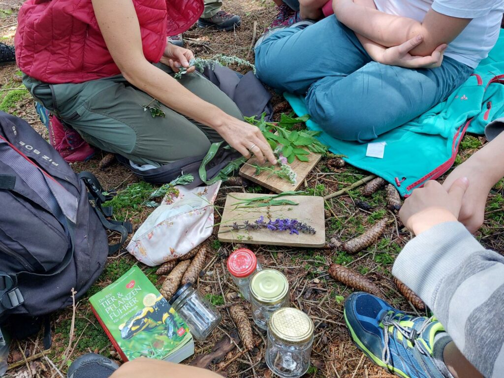 Naturpark I (c)Ralf Pechlaner I AVS