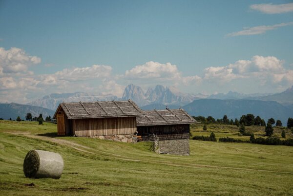 Titelbild (c) Ramon Zemmer