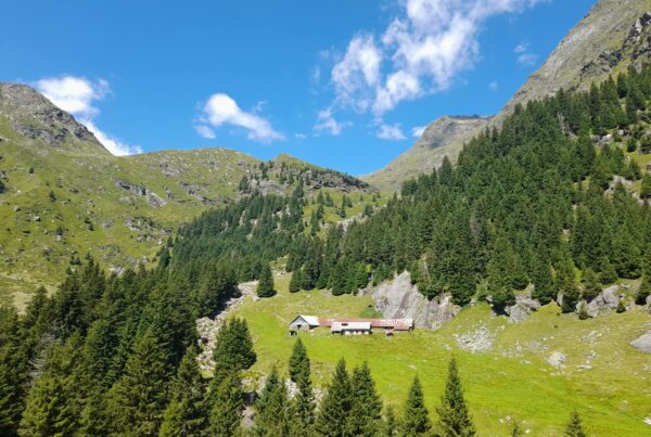 Unterkaser Alm in Sprons I(c)JudithEgger