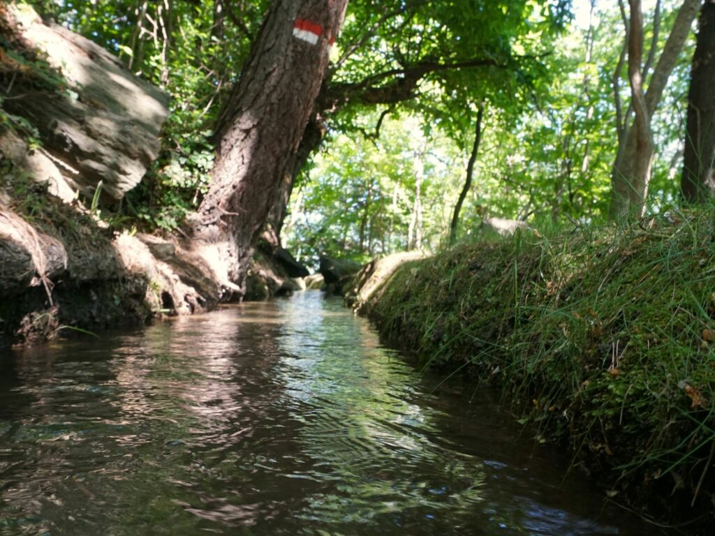 Waalweg I (c)Othmar Mayrl I AVS