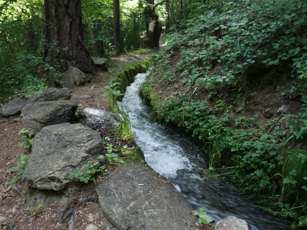 Waalweg I (c)Othmar Mayrl I AVS