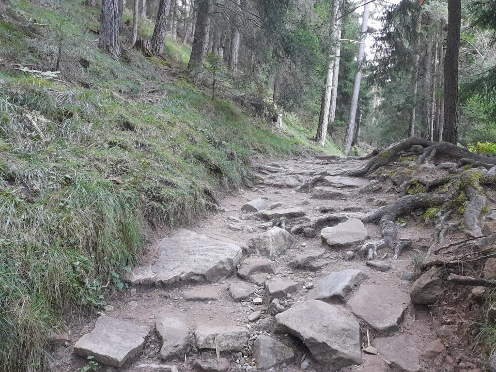 Alter Plattenweg vor Tuff-Alm I(c)JudithEgger