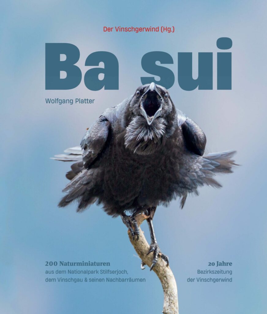 Cover Ba Sui (c) Vinschgerwind
