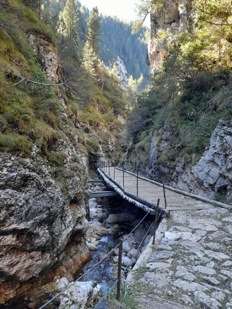 Prügelesteig in der Schlucht I(c)JudithEgger