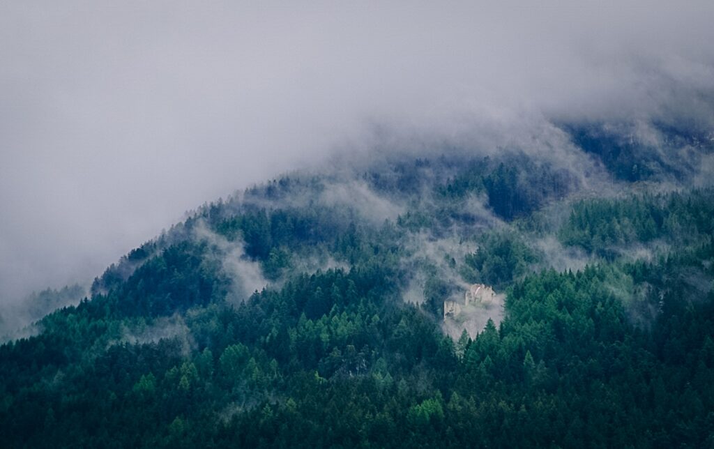 Titelbild (c) Ramon Zemmer