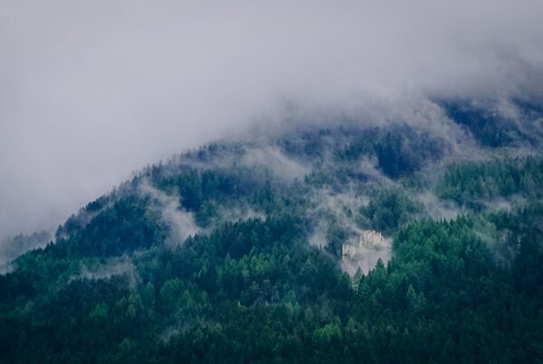 Titelbild (c) Ramon Zemmer