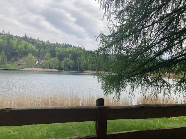 MTB-Tour zum Lago Santo/Mezzocorona