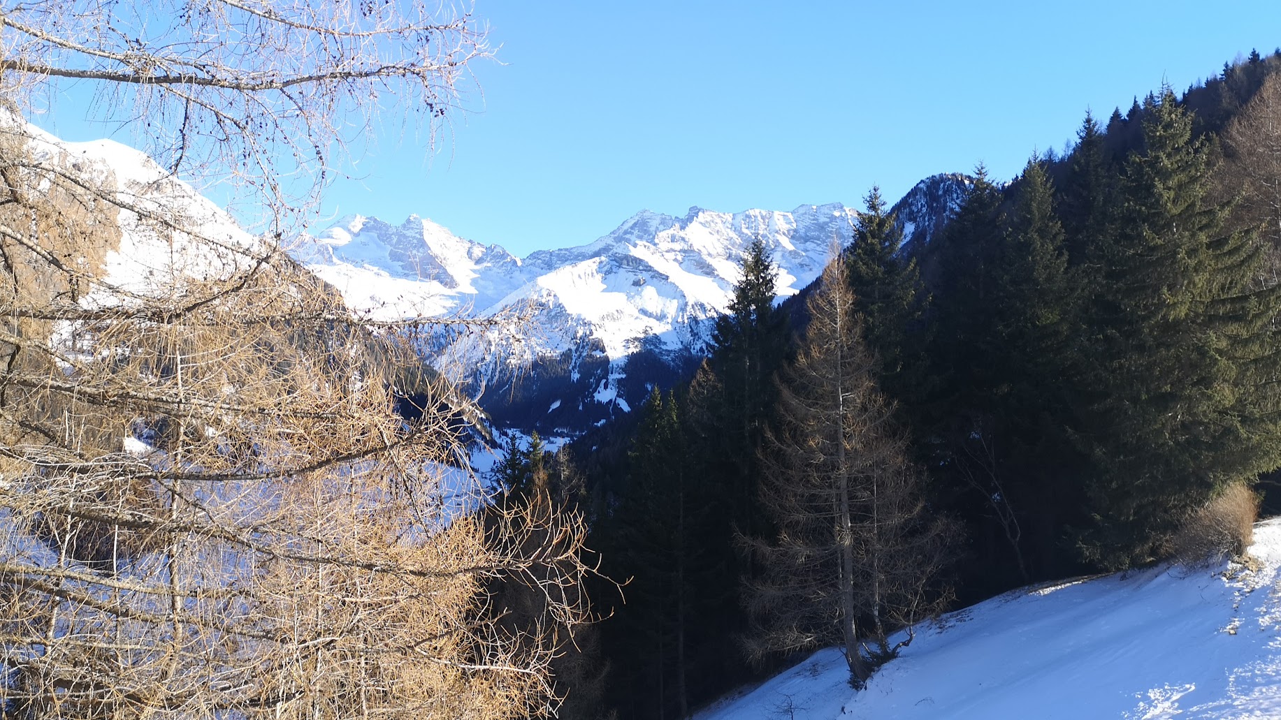 Winterwanderung zur Kastnerbergalm im Obernbergtal