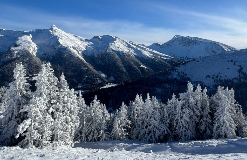 Schneegrenztour vom Brenner zum Sattelberg I(c)SeppLechner I AVS Bozen