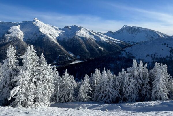 Schneegrenztour vom Brenner zum Sattelberg I(c)SeppLechner I AVS Bozen