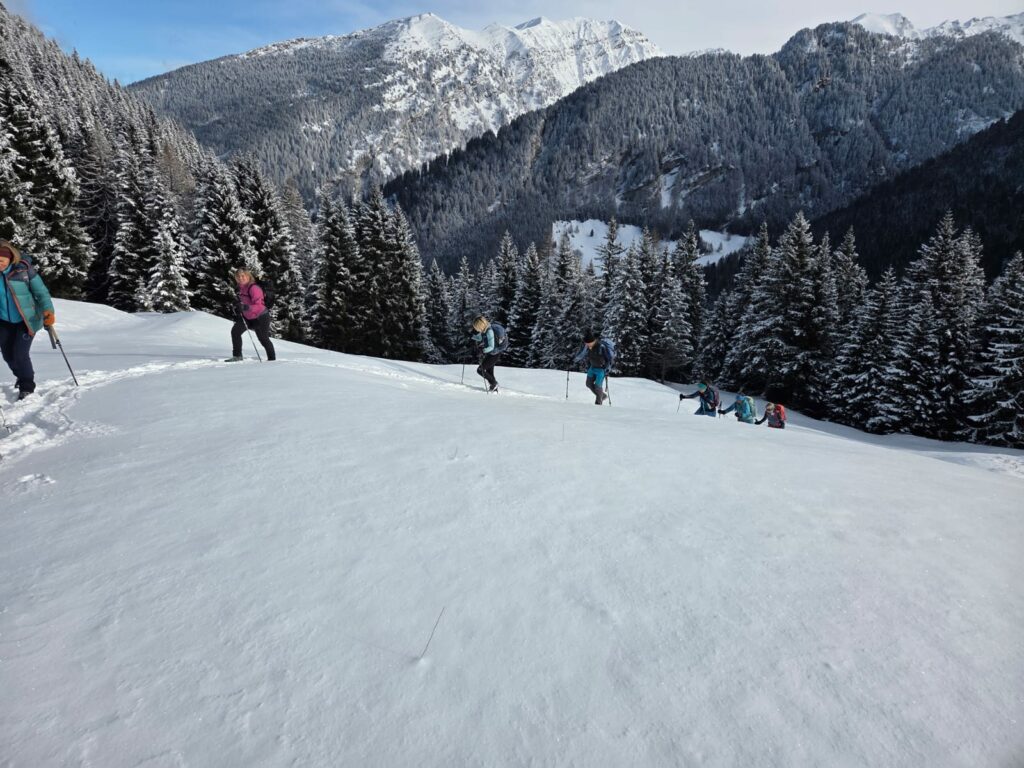 Aufstiegweg Steinalm I(c)SeppLechner I AVS Bozen
