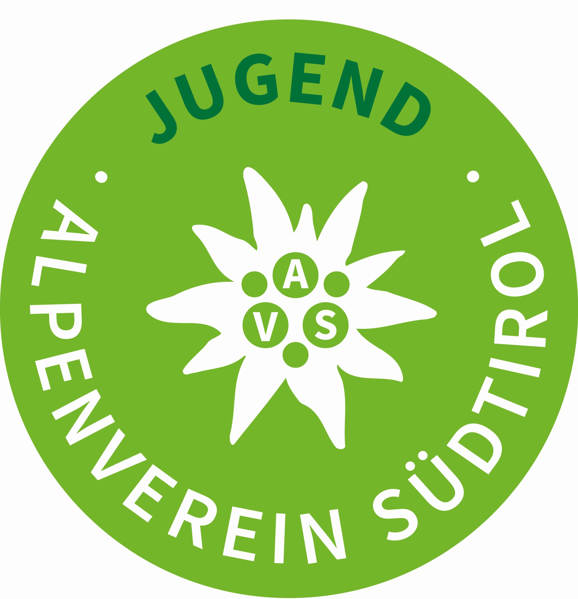 AVS Jugend Logo