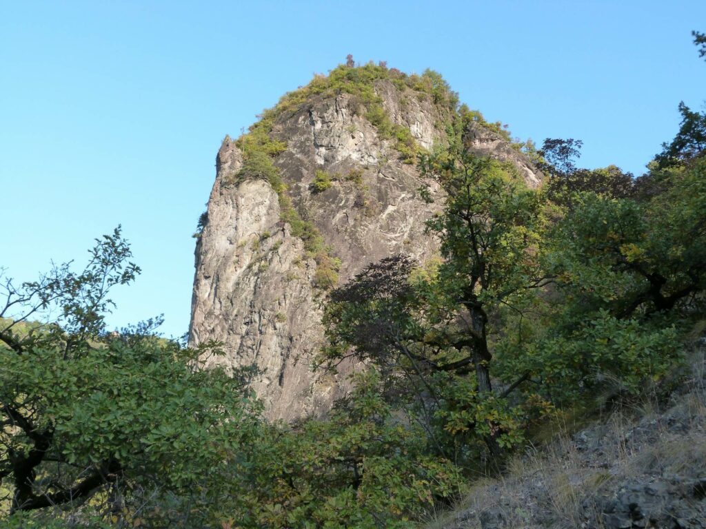 Johanniskofl I(c)Cristina Camerota