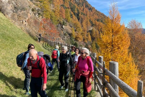 Meraner Höhenweg bei Katharinaberg I(c)Toni Niedrist Meraner I AVS St.Pauls
