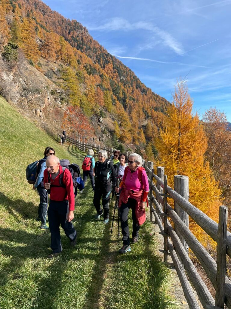 Meraner Höhenweg bei Katharinaberg I(c)Toni Niedrist Meraner I AVS St.Pauls
