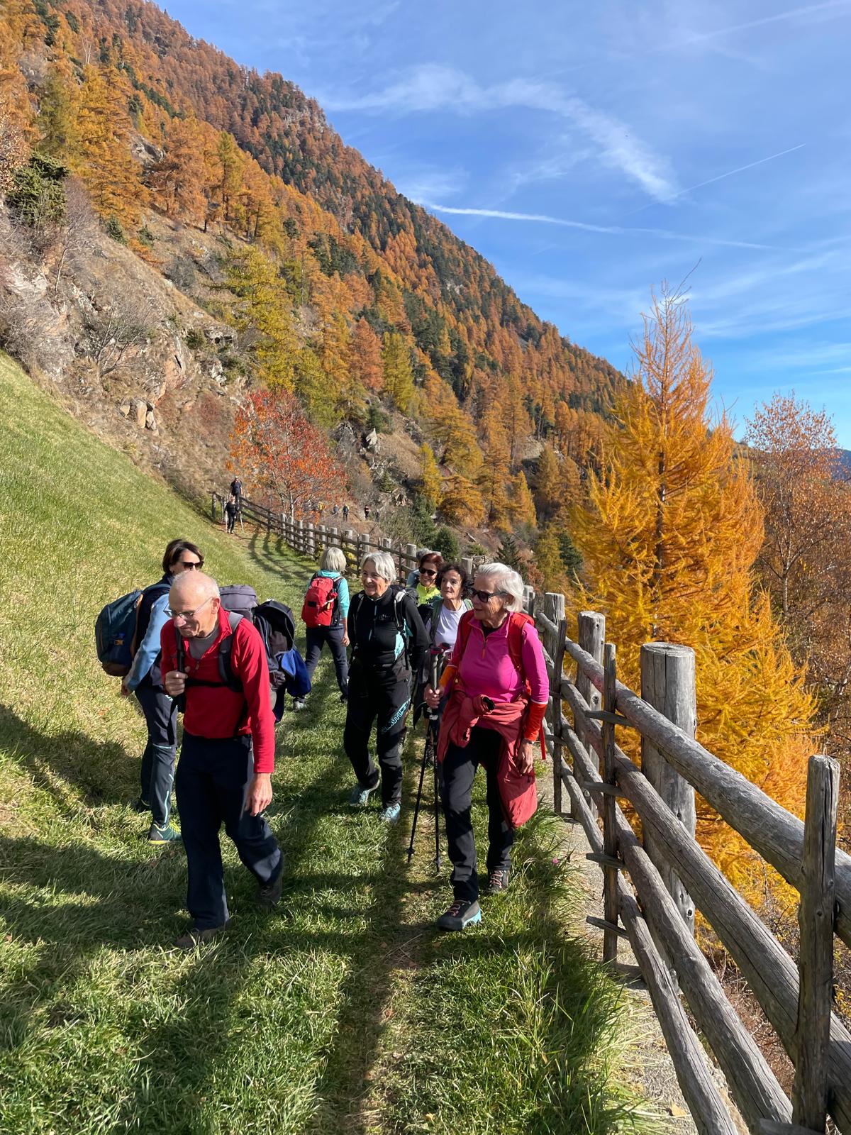 Meraner Höhenweg bei Katharinaberg I(c)Toni Niedrist Meraner I AVS St.Pauls