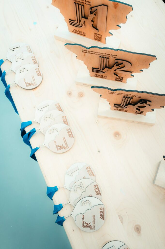 REGIONALMEISTERSCHAFTLEAD2026 (C) heARTsense_AVS