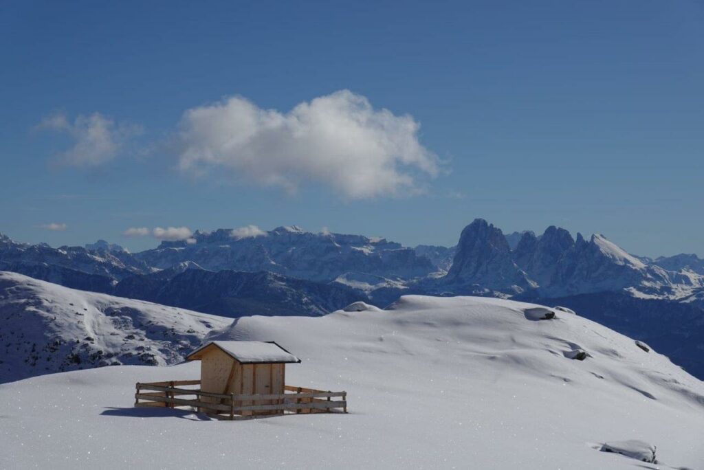 Traumhafter Ausblick I(c)AVS Bozen