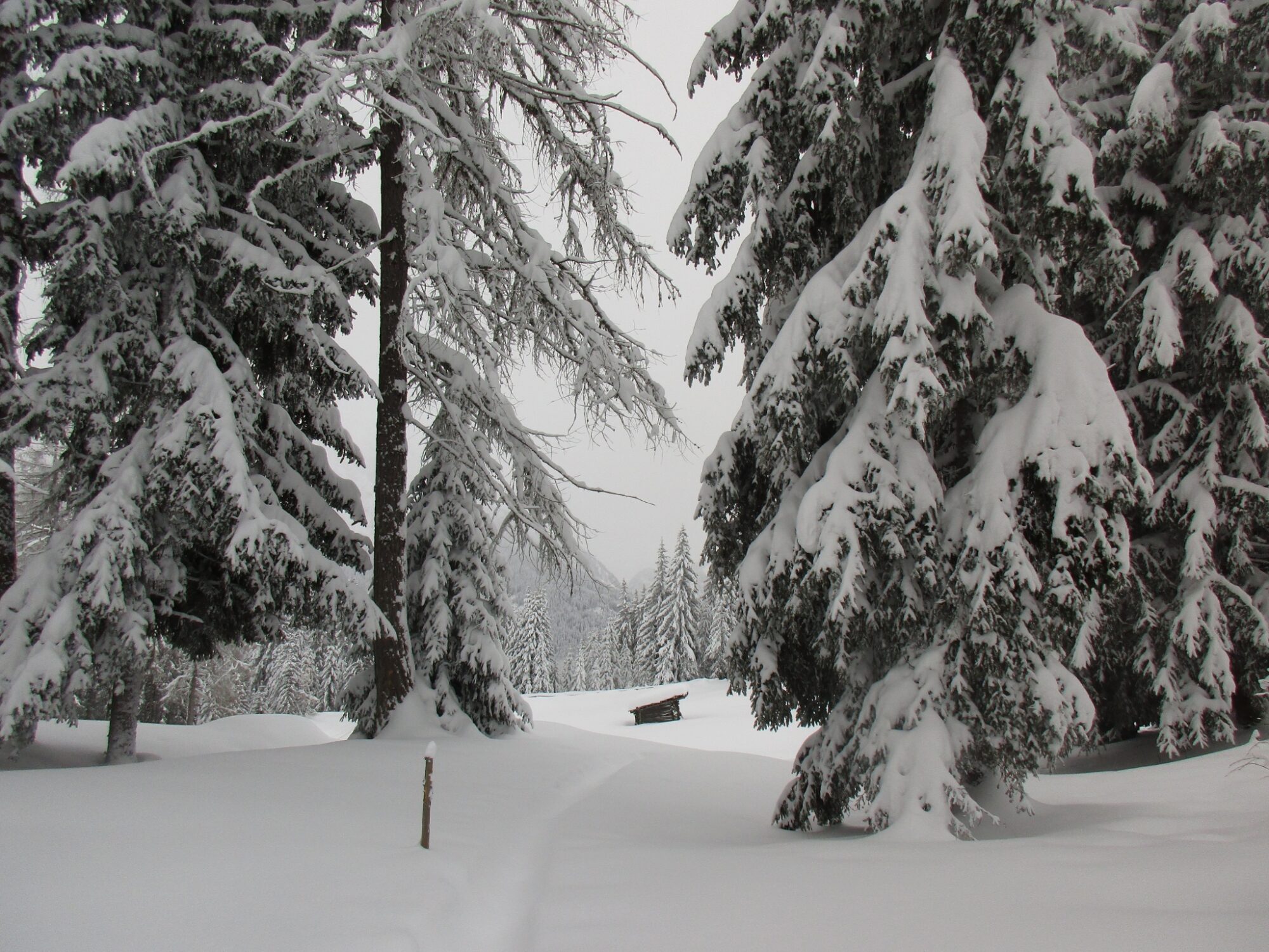 Schneeschuhwanderung: Zur Lachwiesenhütte von Toblach
