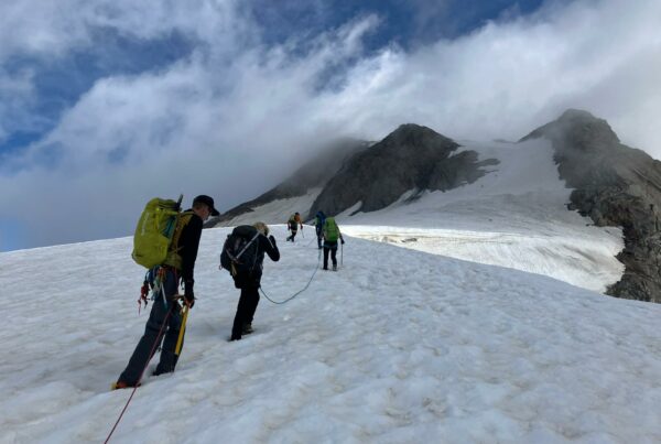 Gletschertour Weißkugel I(c)AVS Marling