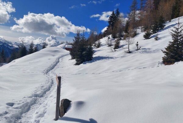 Schneeschuhwanderung in Weißenbach/Ahrntal I(c)AVS Bozen