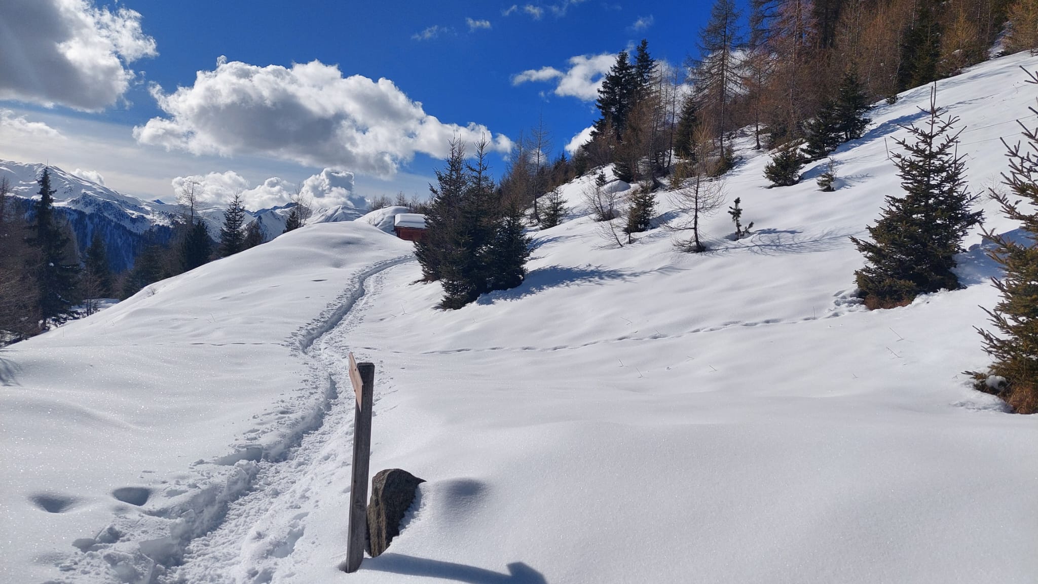 Schneeschuhwochenende in Weißenbach im Ahrntal