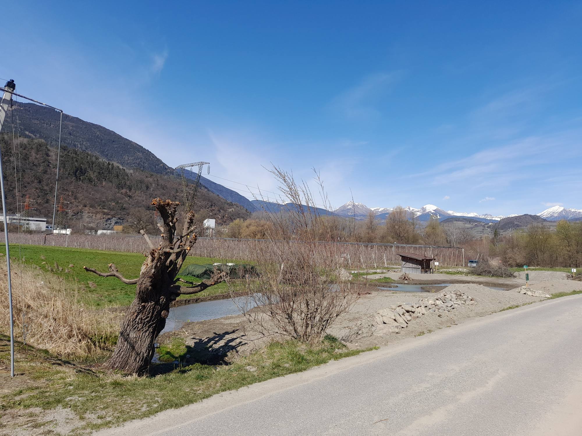 Angekaufte Fläche Millander Au | © Judith Egger | AVS