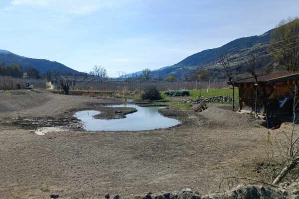 Angekaufte Fläche Millander Au | © Anna Pichler | AVS