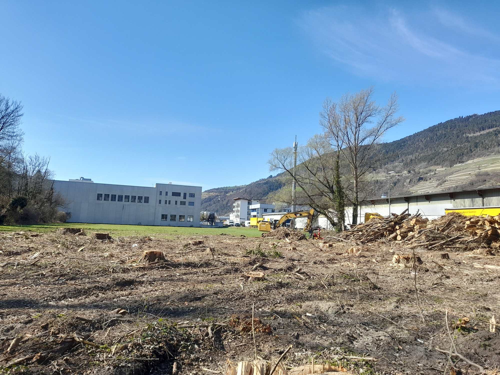 Auwald Industriezone Brixen | © Judith Egger | AVS