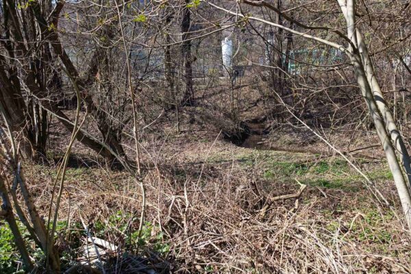 Bodenbühler Bach | © Anna Pichler | AVS