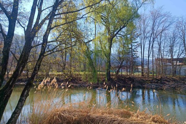 Fischzuchtpark Brixen | © Anna Pichler | AVS