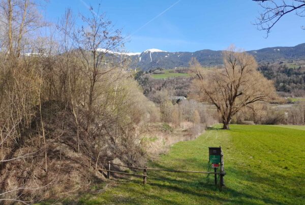 Millander Au | © Judith Egger | AVS