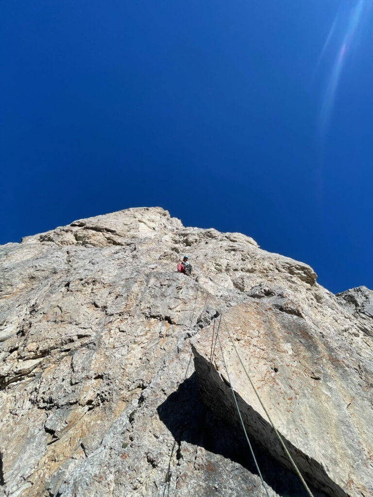 Rampa_Zampa_(c)_Simon_Niederwolfsgruber