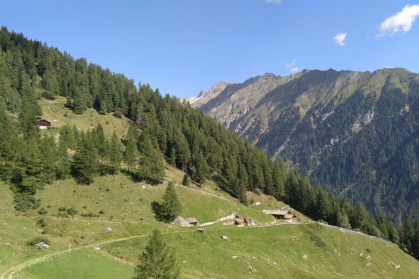 Reichegger Alm in Weißenbach I(c)GregorBeikircher