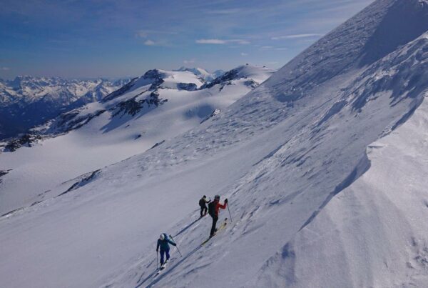 Aufstieg zur Zufallspitze I(c)StefanCapello I AVS Bozen