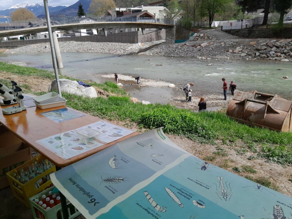 Wasserwerkstatt - Lebensraum Fluss I(c)Marco Zema I AVS Klausen