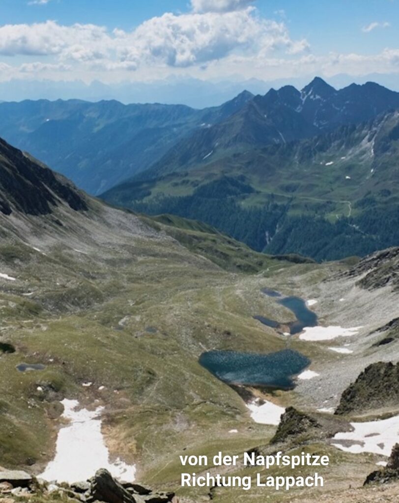 Blick Napfspitze richtung Lappach | (c) Erika von Egitz | AVS