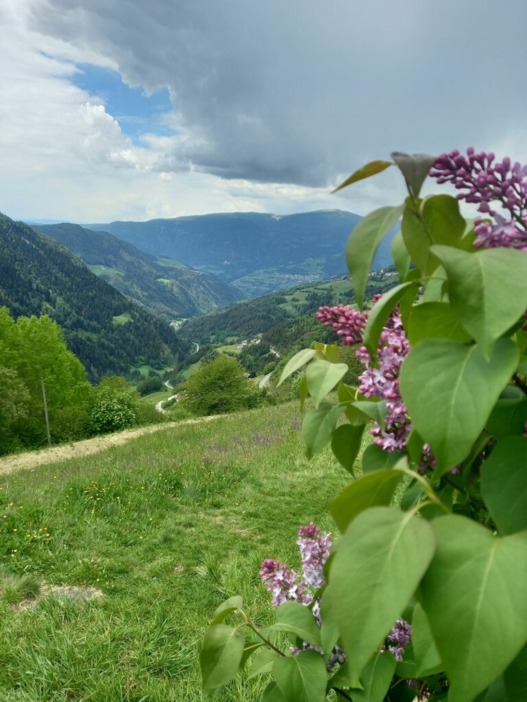 Blick talauswärts - Grödner Poststeig I(c)Rosi Haller