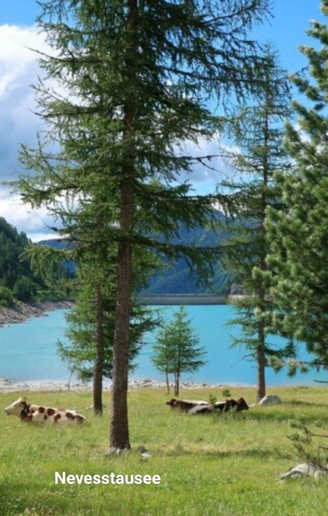 Nevesstausee | (c) Erika von Egitz | AVS