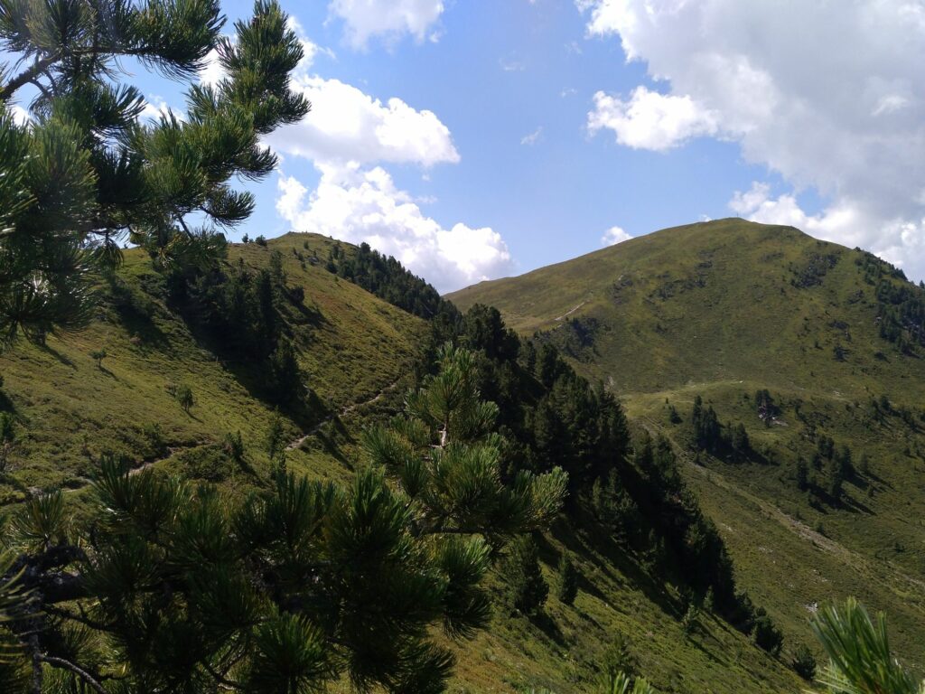 Weg zum Col de Lè I(c)Gregor Beikircher