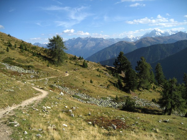 Wandern: Zur Sesvennahütte