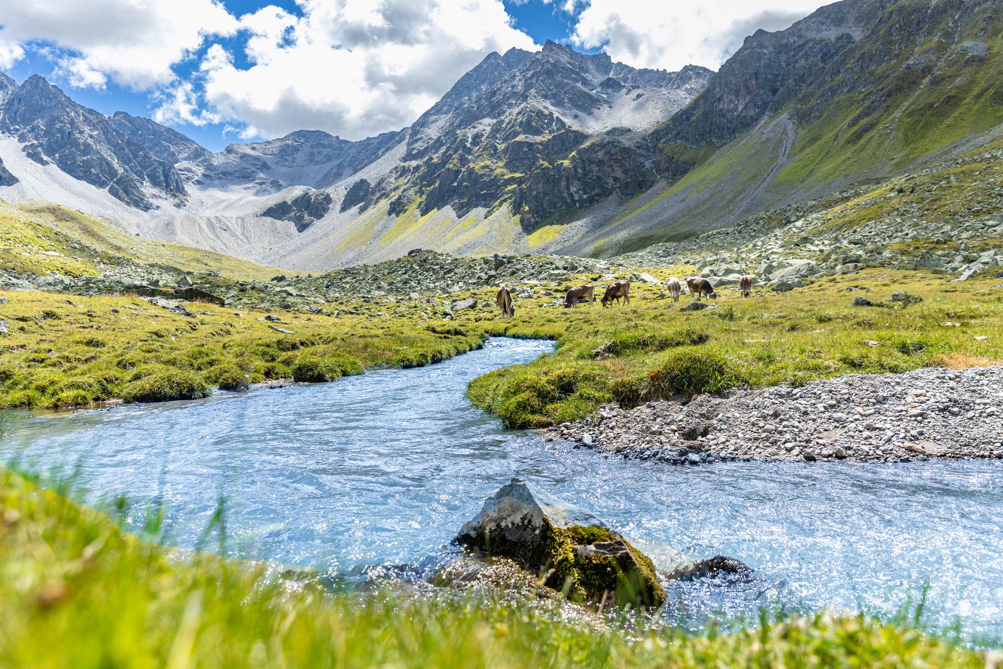 Alpenvereine und Naturschutzorganisationen fordern besseren Schutz der Alpen