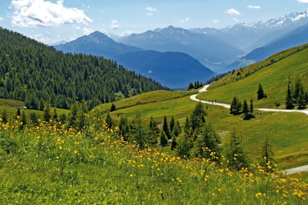 Wanderung: Über die Almen zur Meraner Hütte