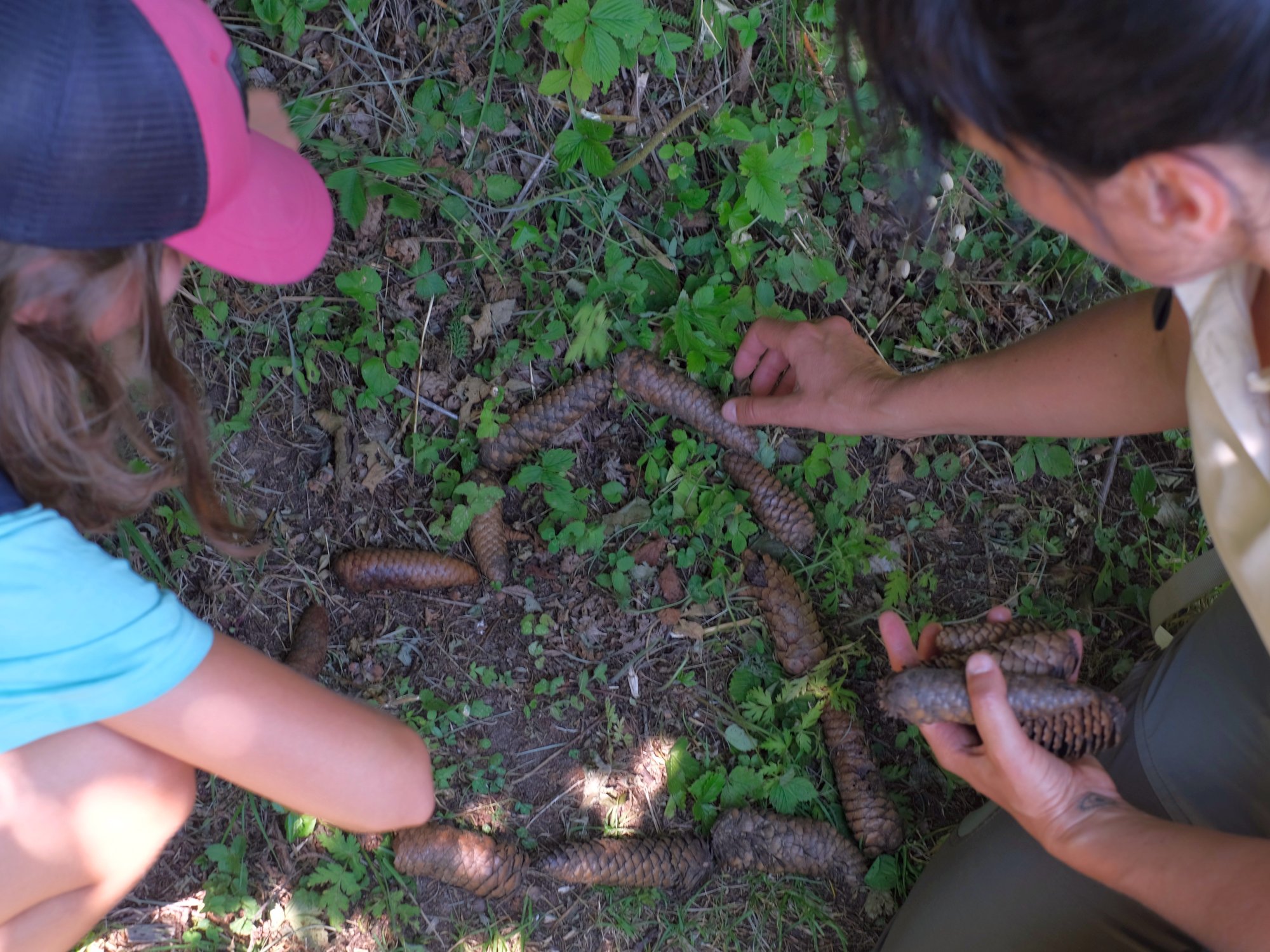 Junior Ranger I (c) Landesamt für Natur