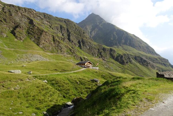 Moarerbergalm in Ridnaun I(c)Judith Egger