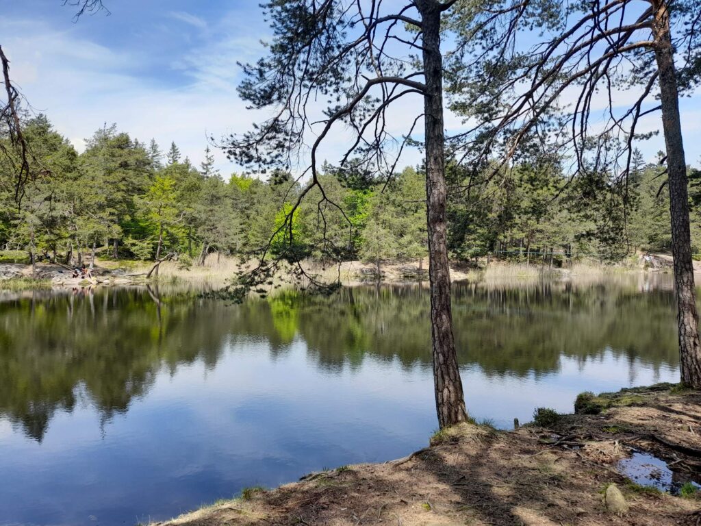 Göllersee in Aldein I(c)JudithEgger
