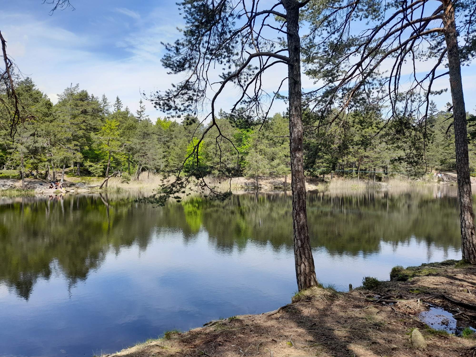 Von Auer zum Göllersee und nach Weißenstein