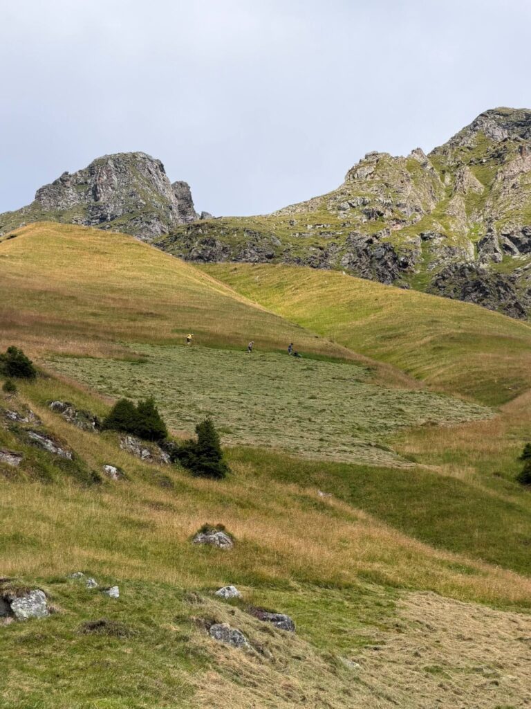 Mahd Kassefeld Antholz I(c)AVS Antholzertal