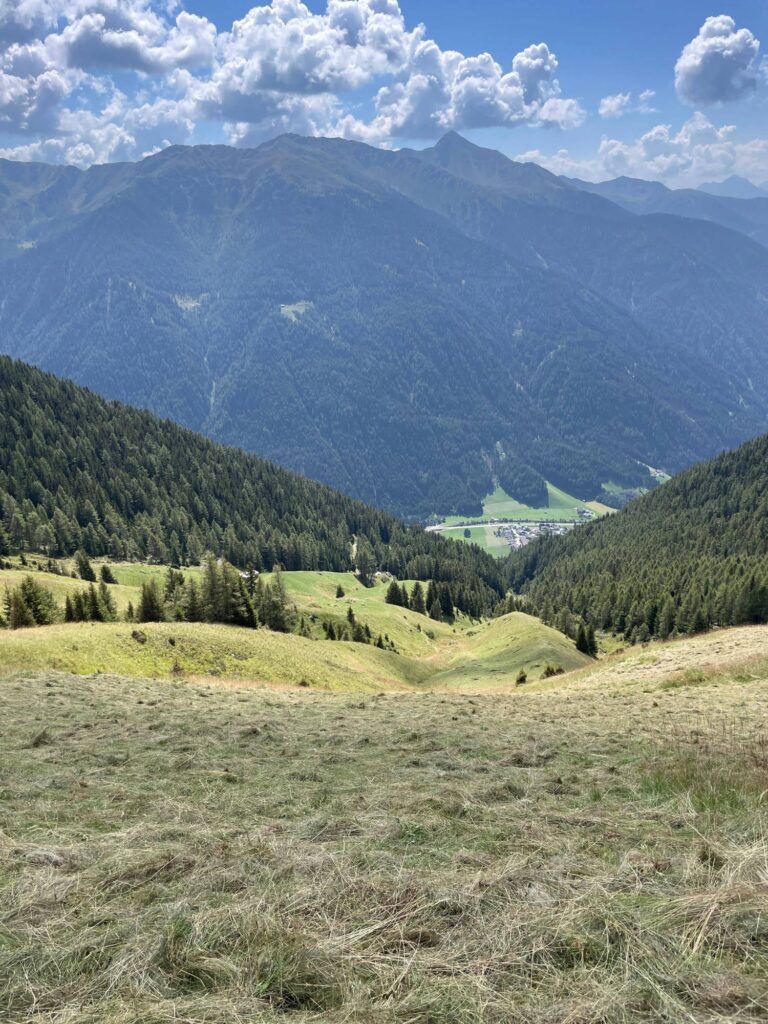 Gemähte steile Wiese Kassefeld I(c)AVS Antholzertal