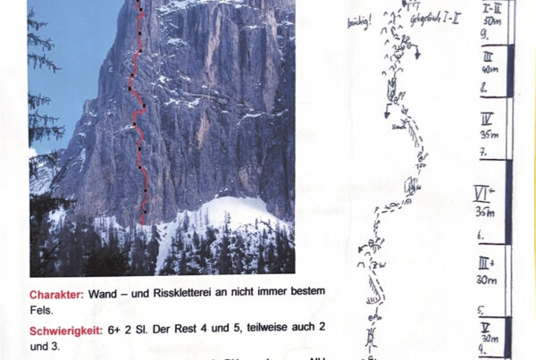 Zurück_zu_den_Wurzeln_(c)_Mark_Oberlechner